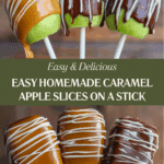 Homemade Caramel Apple Slices on a Stick Recipe