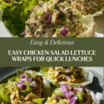 Delicious Chicken Salad Lettuce Wraps for Comforting Meals Recipe