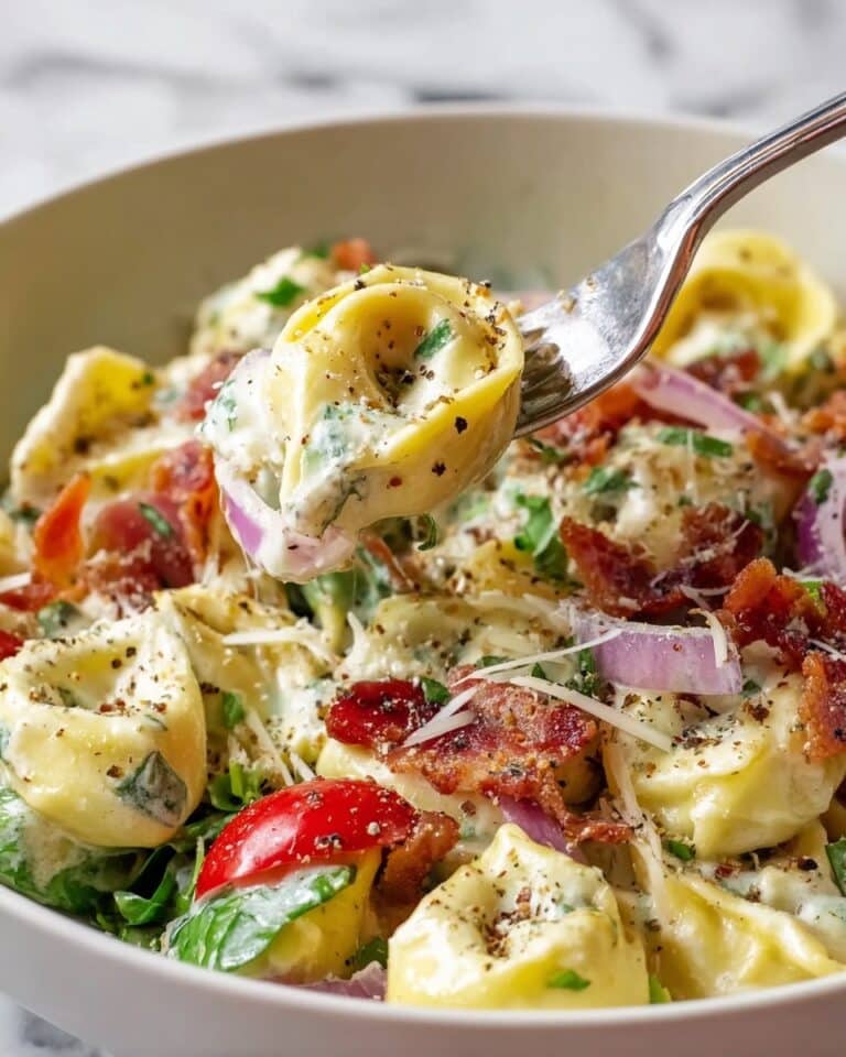 Fresh Grinder Tortellini Salad Recipe