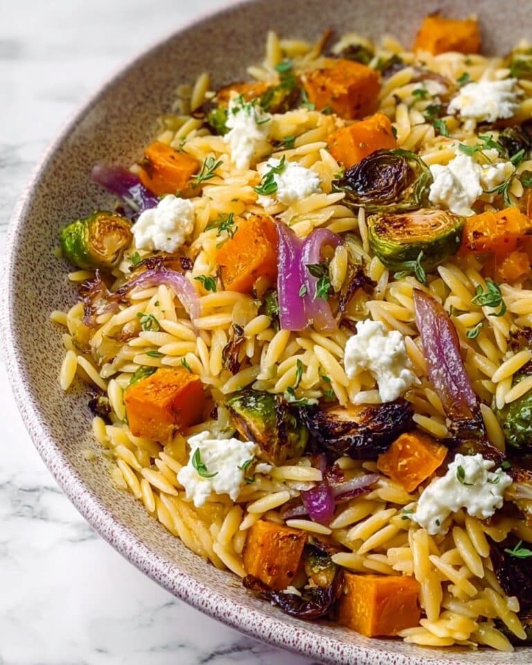 Best Fall Harvest Orzo Salad Recipe